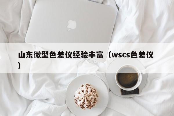 山東微型色差儀經(jīng)驗(yàn)豐富（wscs色差儀 ）
