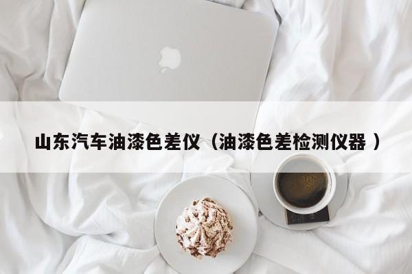 山東汽車油漆色差儀（油漆色差檢測(cè)儀器 ）