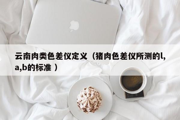 云南肉類色差儀定義（豬肉色差儀所測的l,a,b的標準 ）